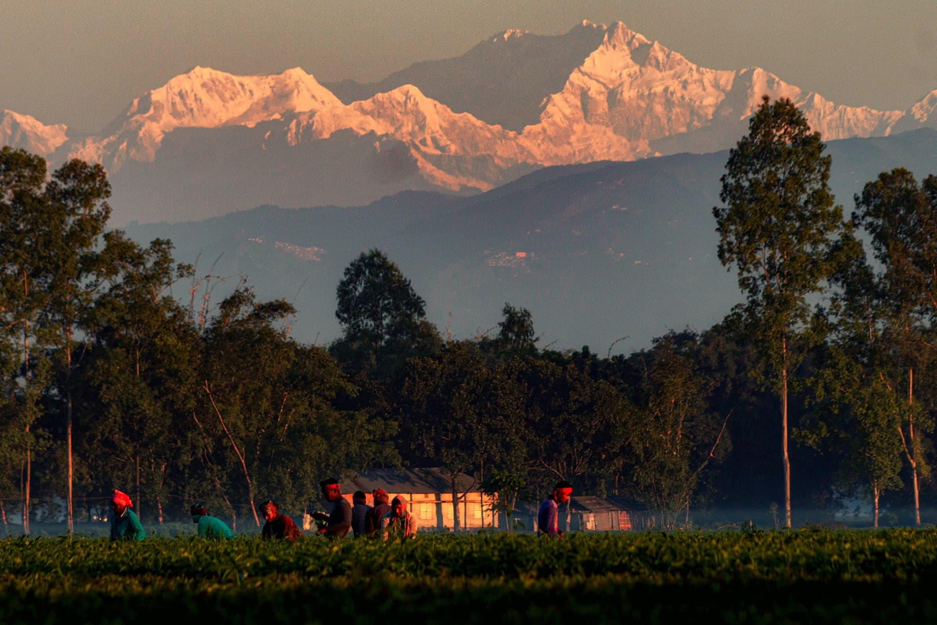 The Kangchenjunga massif above the Eastern Himalaya near Sikkim